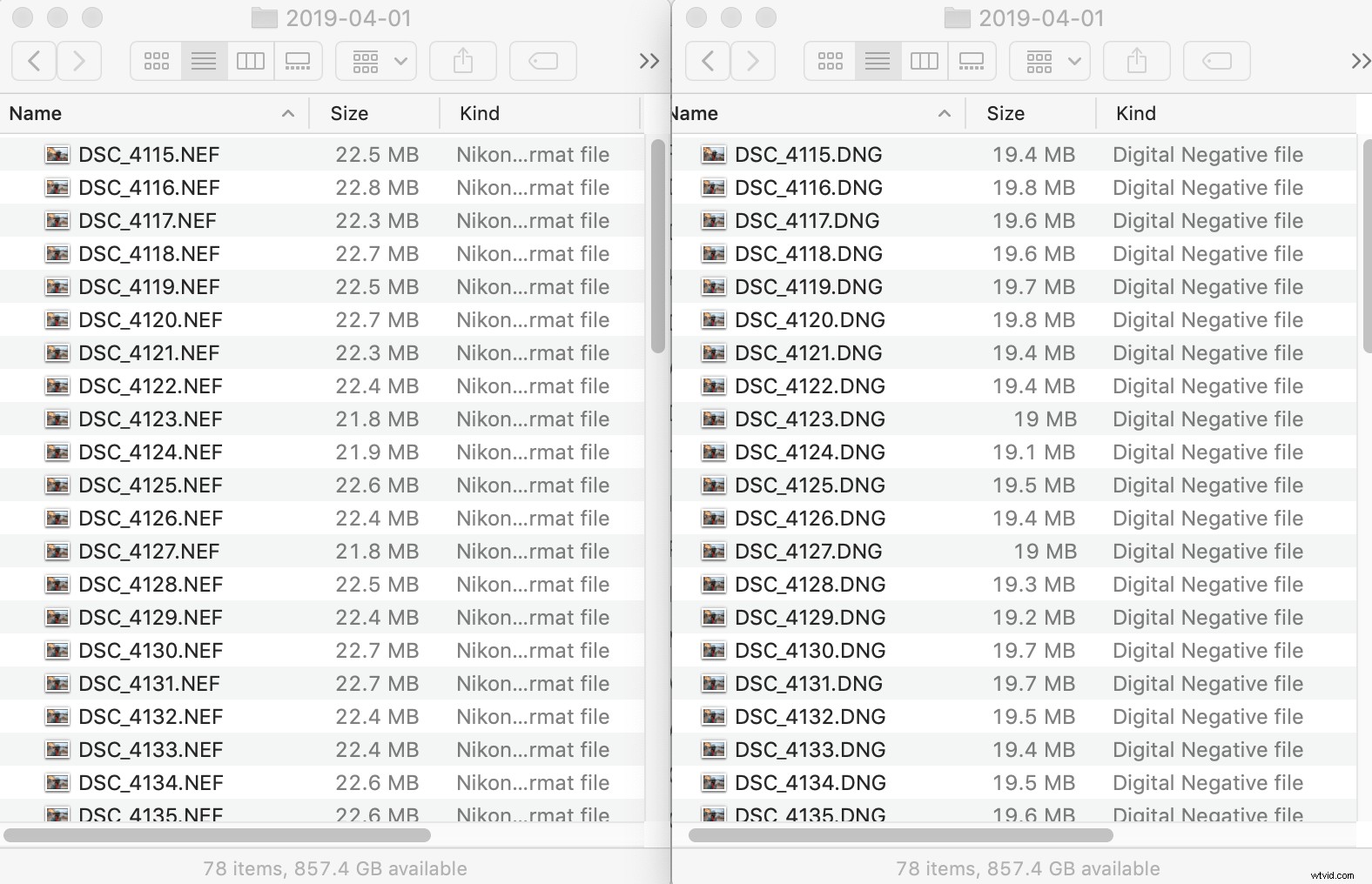 RAW vs. DNG: Key Differences and Why They Matter for Photographers