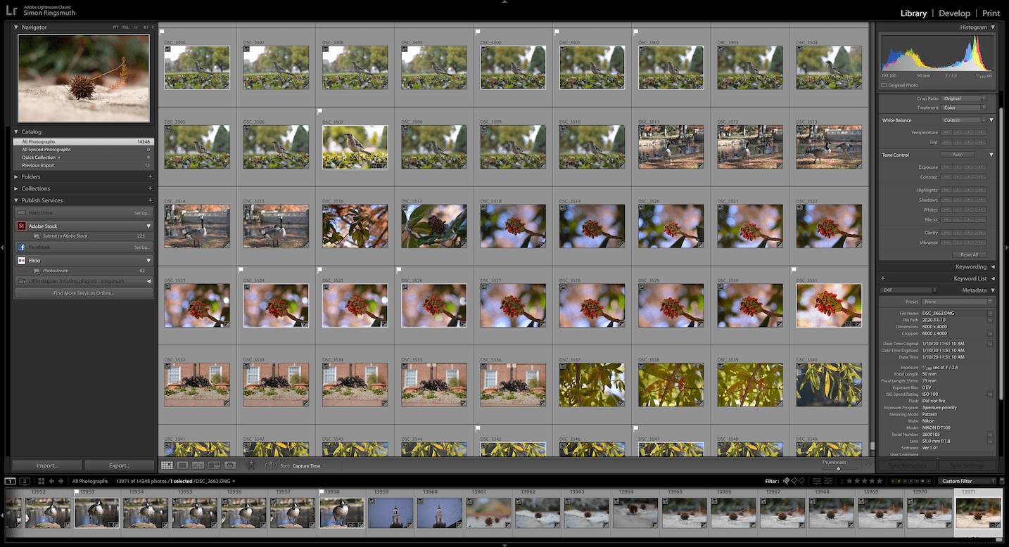 RAW vs. DNG: Key Differences and Why They Matter for Photographers