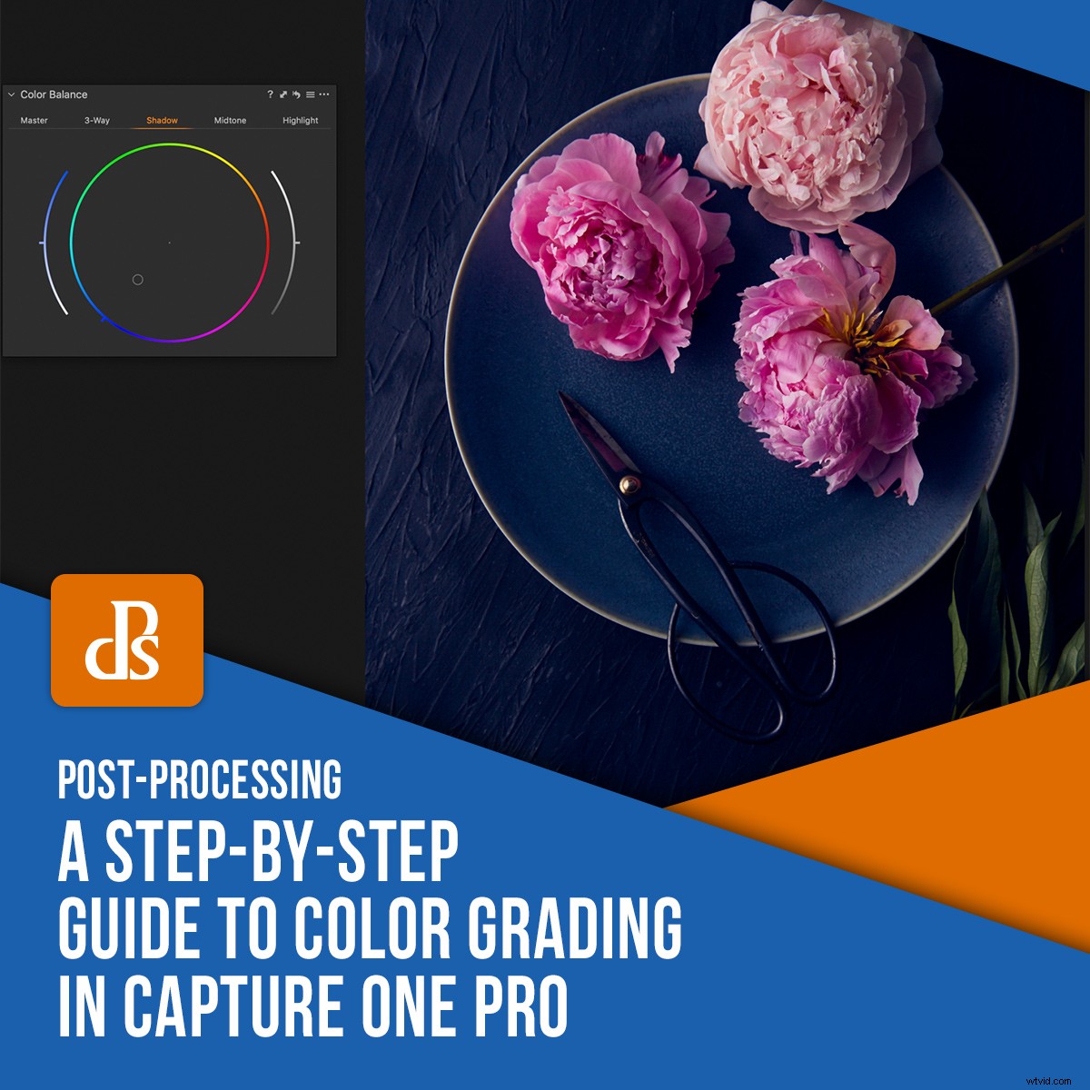 Master Color Grading in Capture One Pro: Expert Step-by-Step Guide