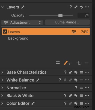 Master Color Grading in Capture One Pro: Expert Step-by-Step Guide