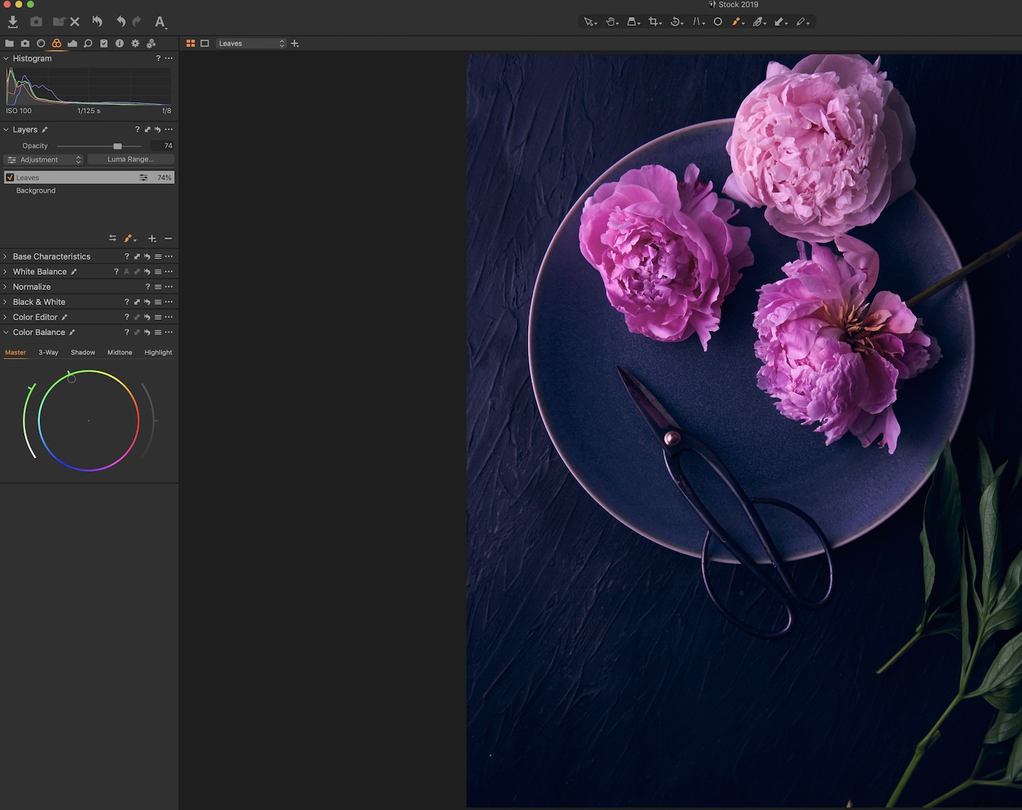 Master Color Grading in Capture One Pro: Expert Step-by-Step Guide