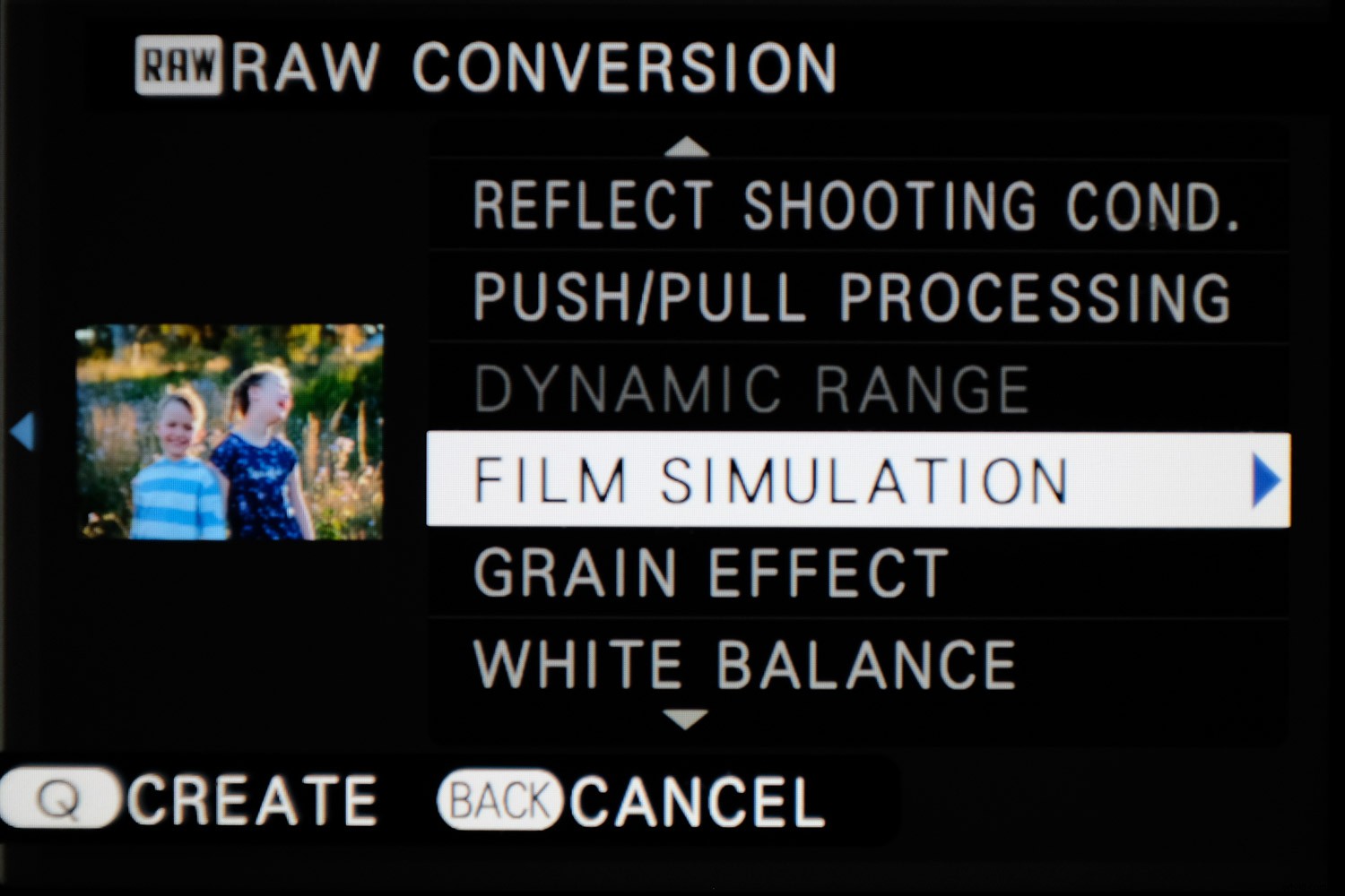 Ultimate Guide to Fujifilm JPEG Film Simulations: Samples Included