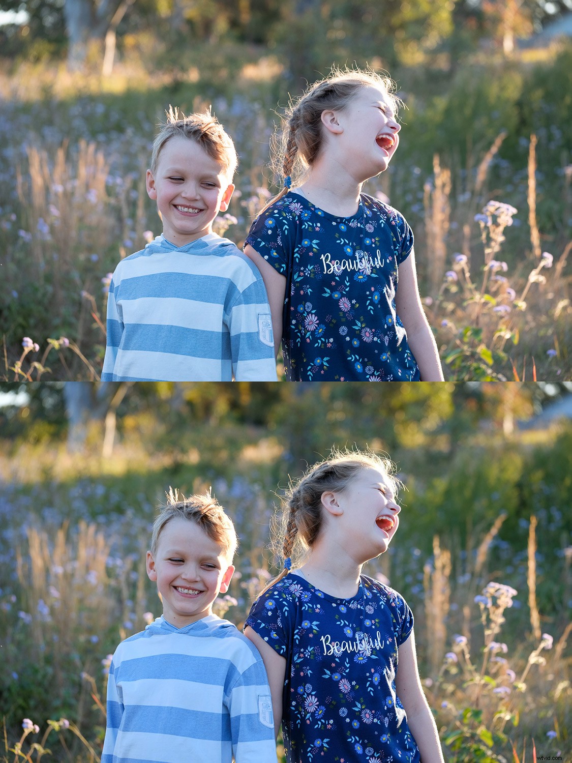 Ultimate Guide to Fujifilm JPEG Film Simulations: Samples Included