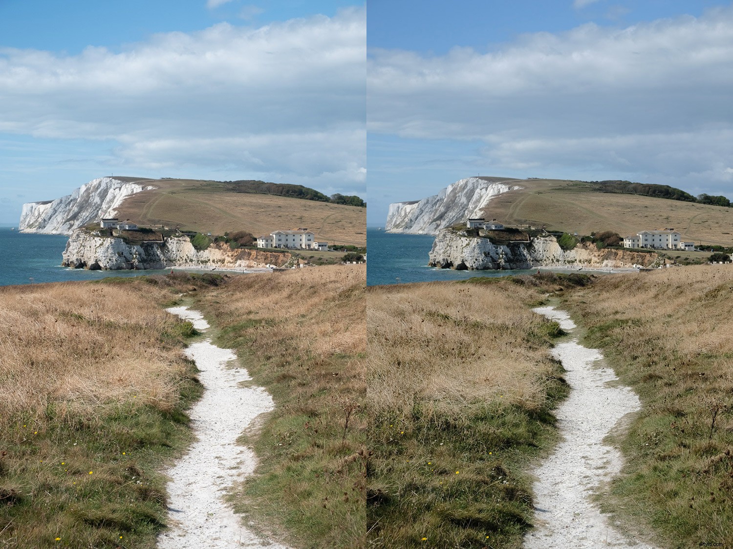 Ultimate Guide to Fujifilm JPEG Film Simulations: Samples Included