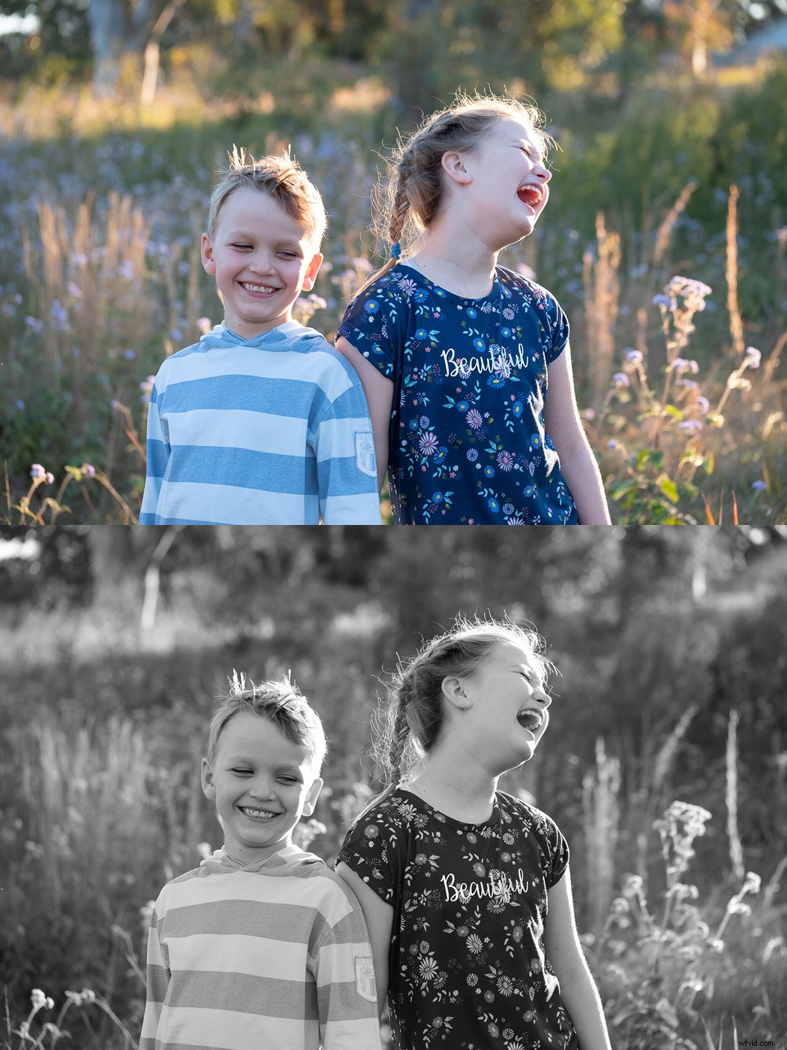 Ultimate Guide to Fujifilm JPEG Film Simulations: Samples Included