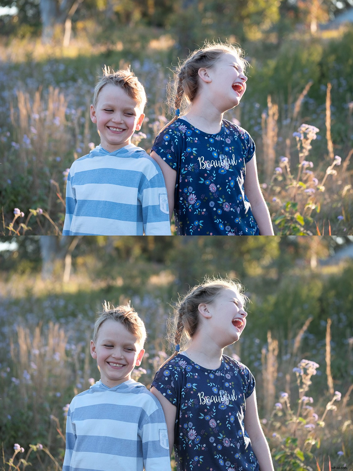 Ultimate Guide to Fujifilm JPEG Film Simulations: Samples Included