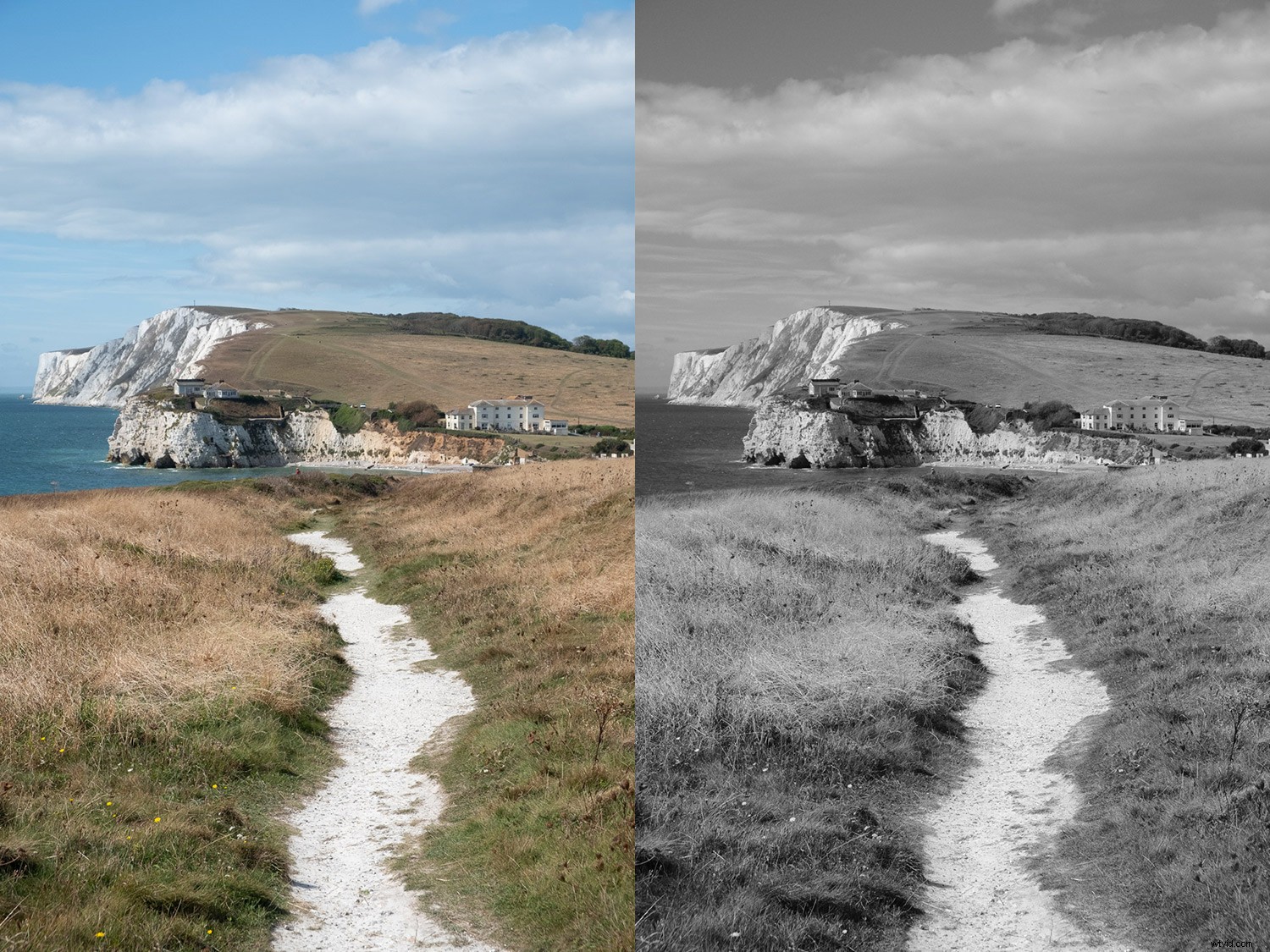 Ultimate Guide to Fujifilm JPEG Film Simulations: Samples Included