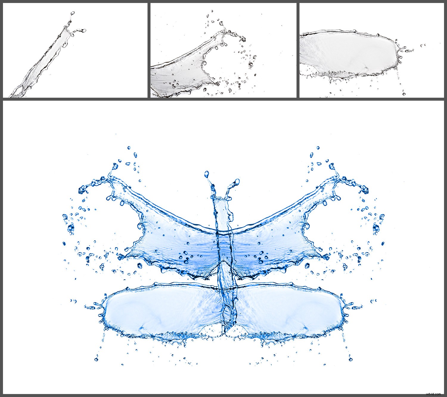Master Creative Water Photography: Step-by-Step Guide to Stunning Water Monsters