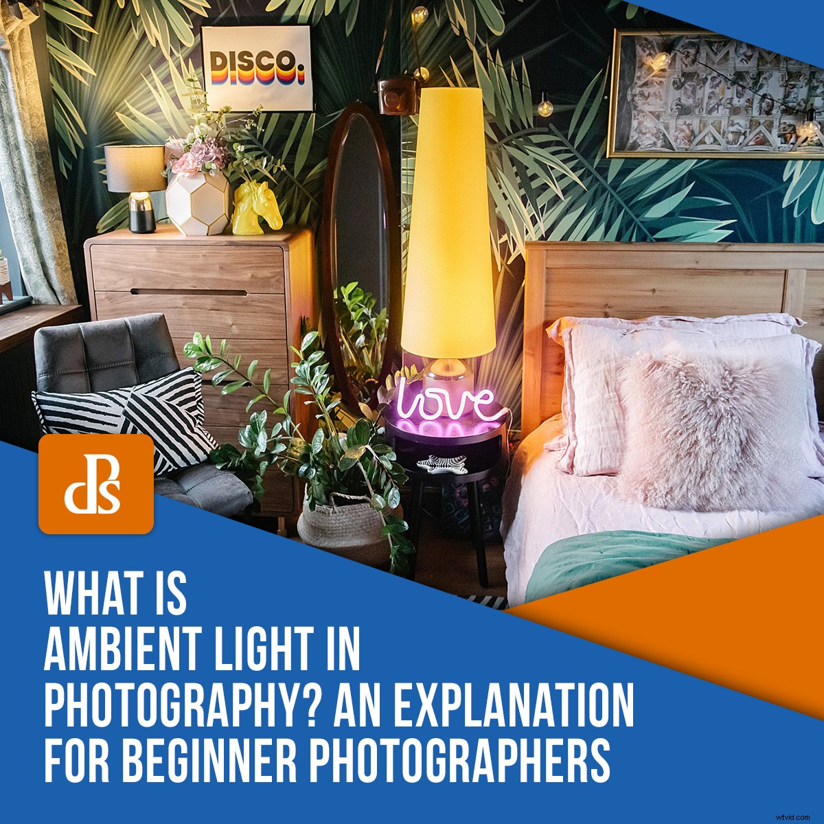Understanding Ambient Light in Photography: Essential Guide for Beginners