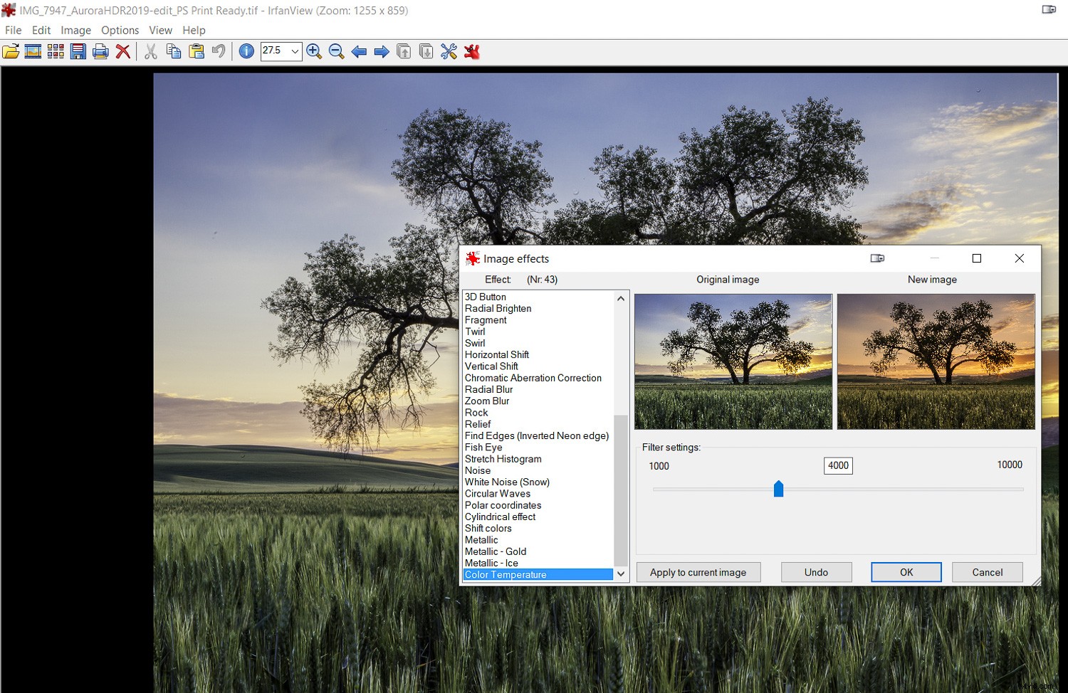 IrfanView: The Essential Free Photo Viewer and Editor Every Photographer Needs
