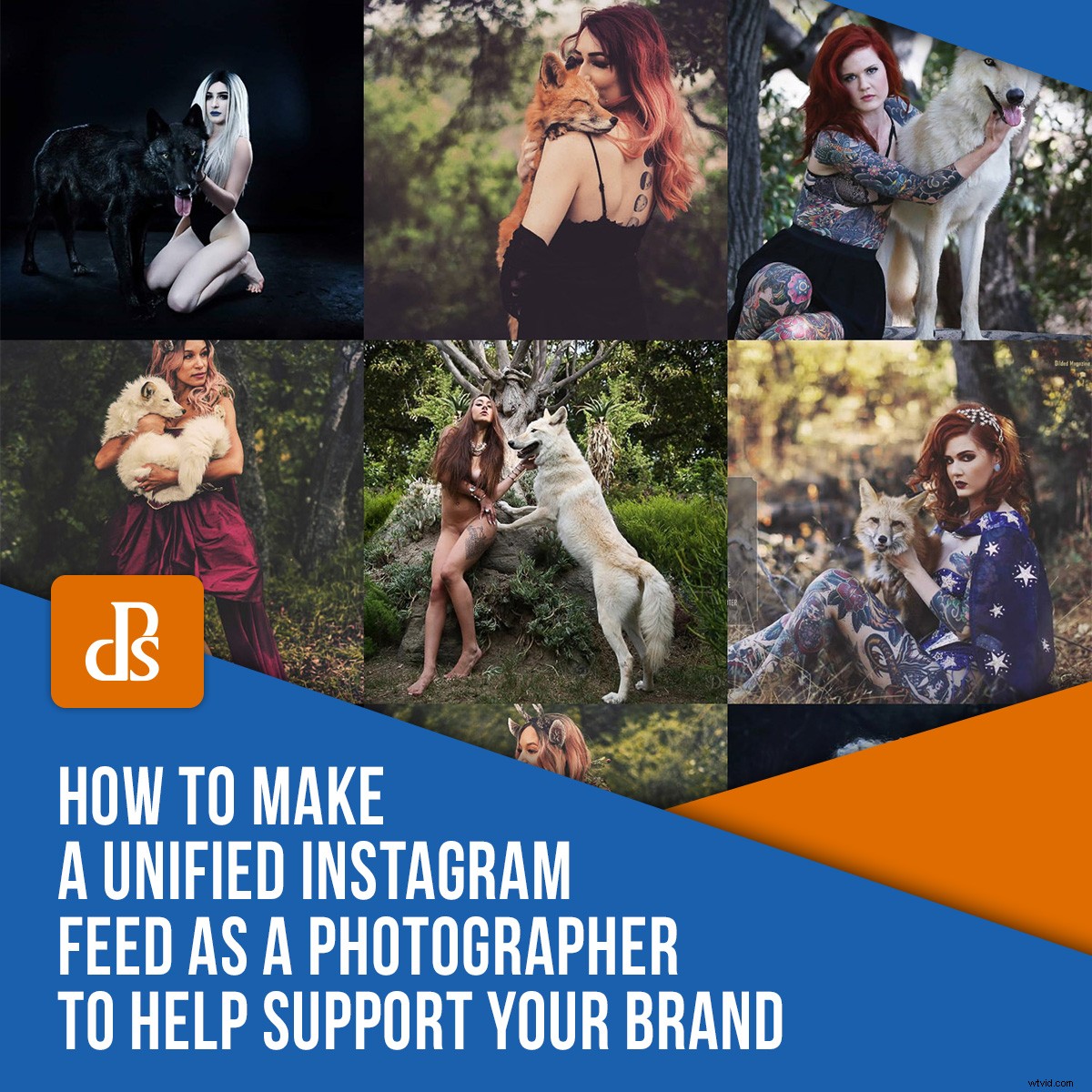 Craft a Cohesive Instagram Feed: Pro Tips for Photographers to Elevate Your Brand