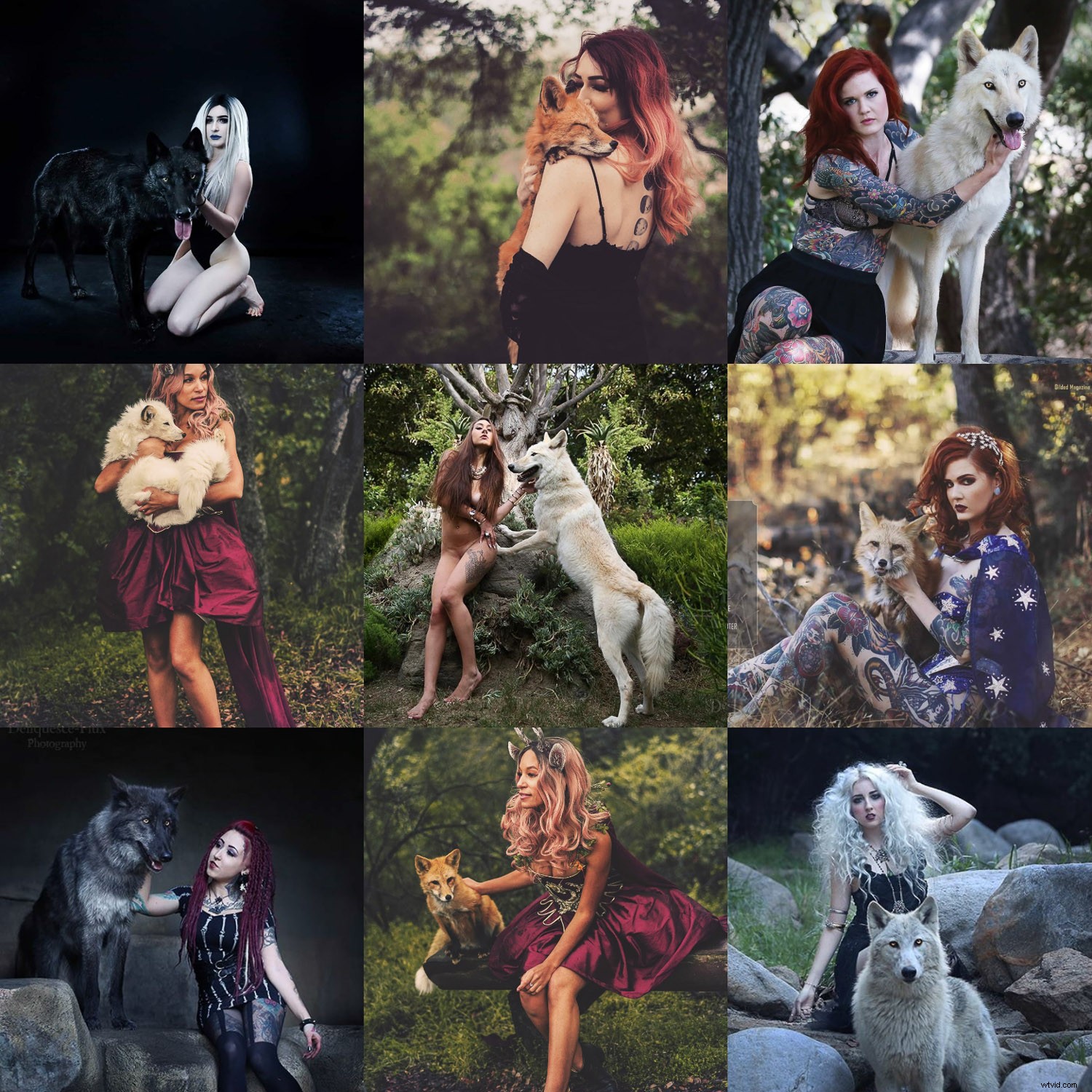 Craft a Cohesive Instagram Feed: Pro Tips for Photographers to Elevate Your Brand