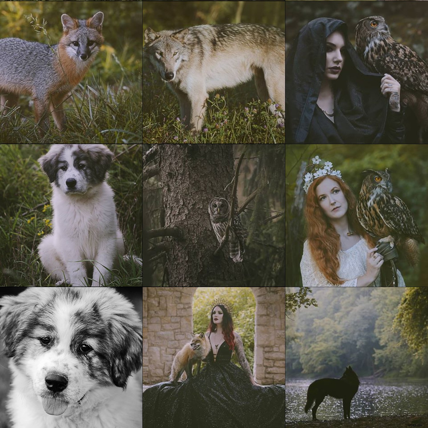 Craft a Cohesive Instagram Feed: Pro Tips for Photographers to Elevate Your Brand