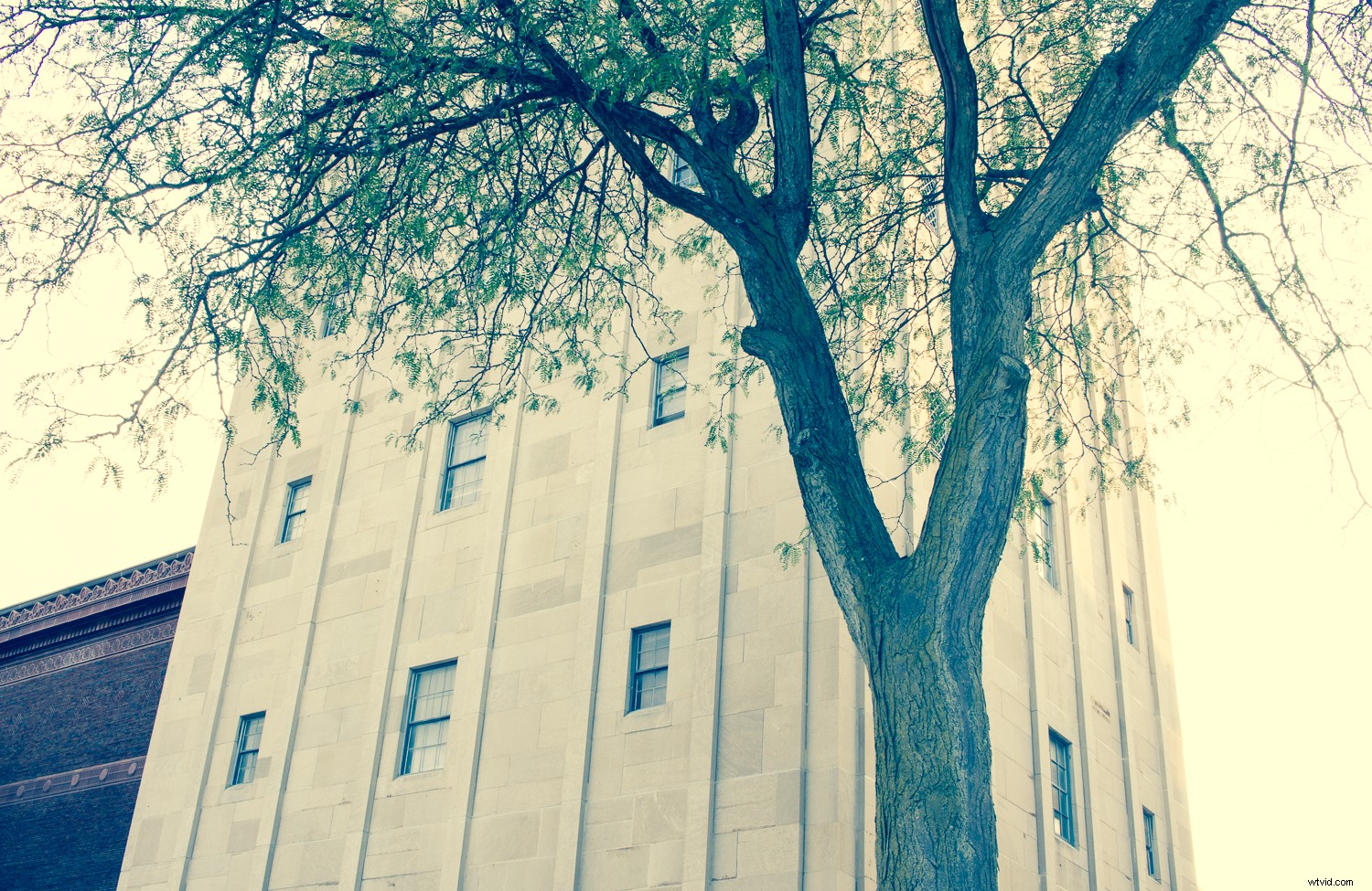 Master Street Photography: 5 Proven Exercises to Elevate Your Skills