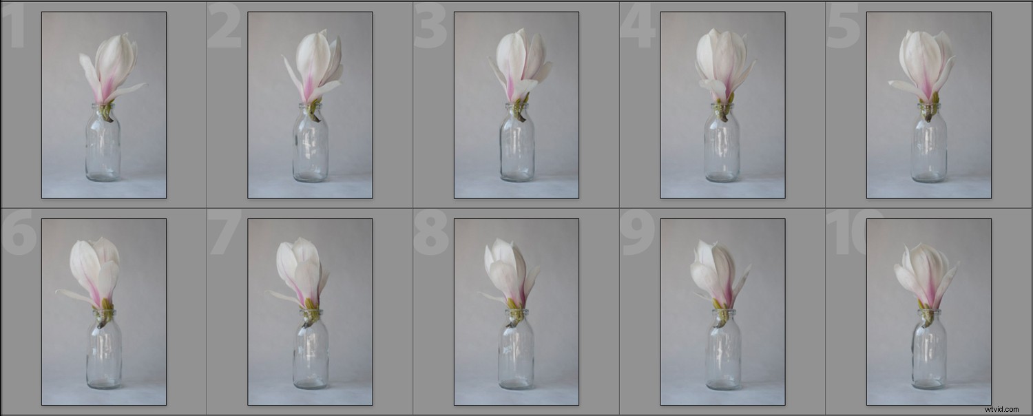 Create Stunning Pep Ventosa-Inspired Still Life Photography: Step-by-Step Guide