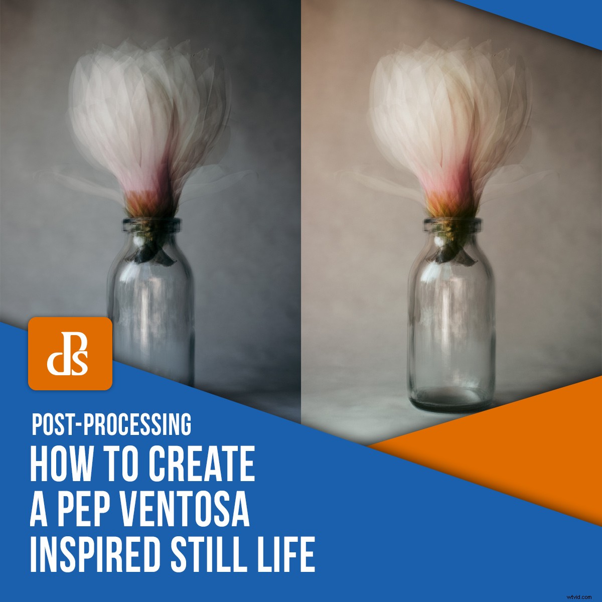 Create Stunning Pep Ventosa-Inspired Still Life Photography: Step-by-Step Guide