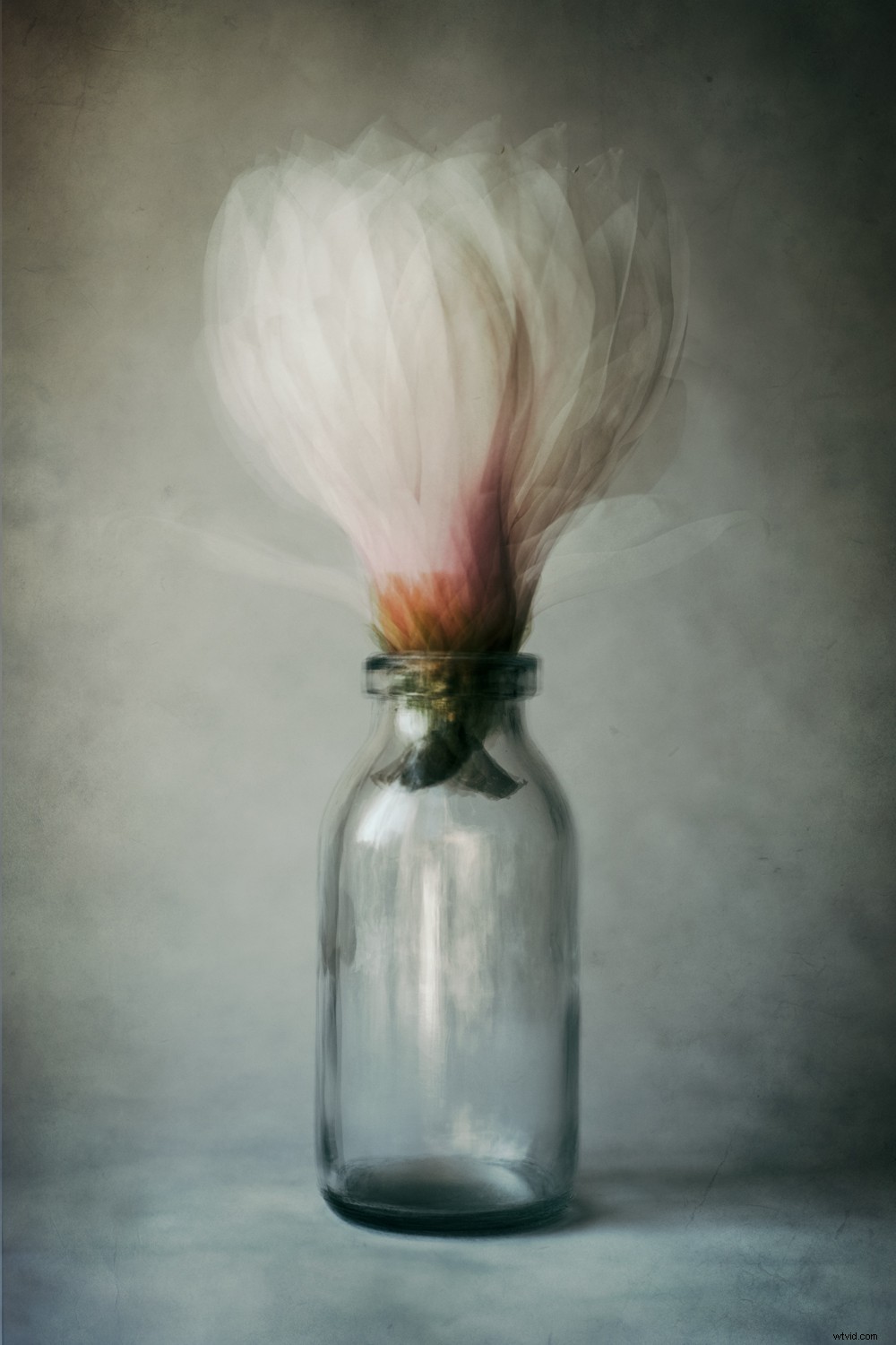 Create Stunning Pep Ventosa-Inspired Still Life Photography: Step-by-Step Guide