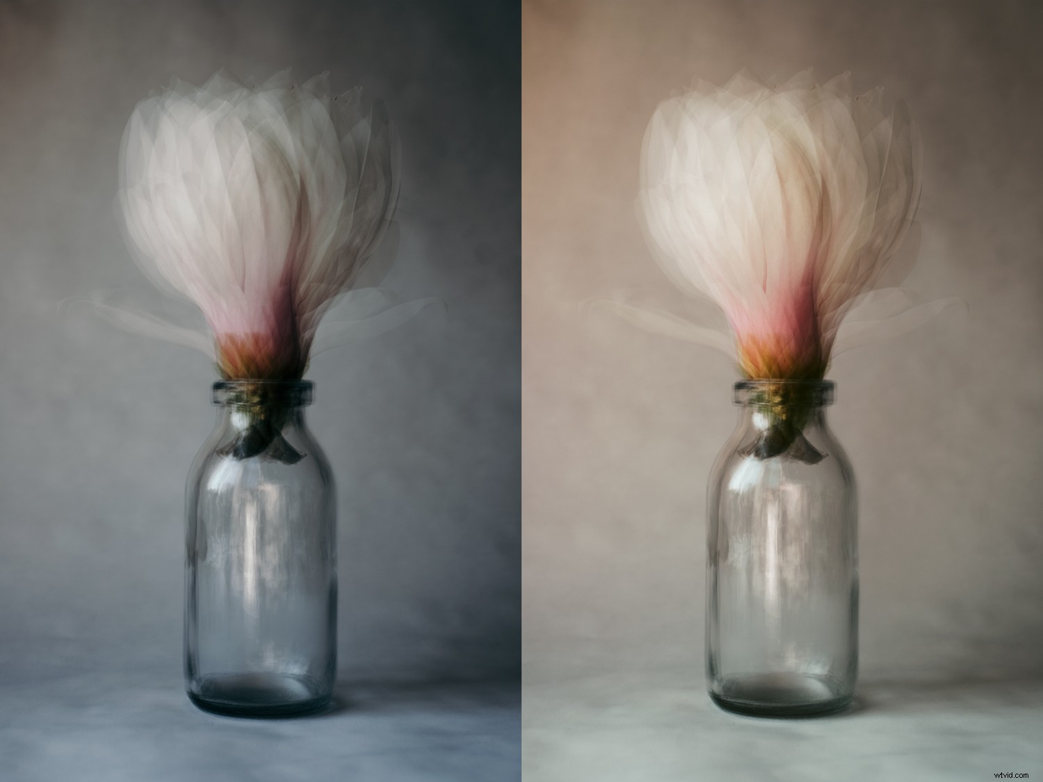 Create Stunning Pep Ventosa-Inspired Still Life Photography: Step-by-Step Guide