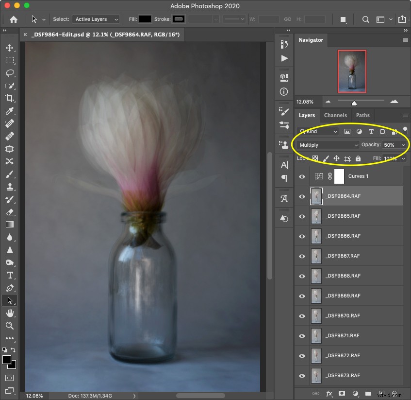 Create Stunning Pep Ventosa-Inspired Still Life Photography: Step-by-Step Guide