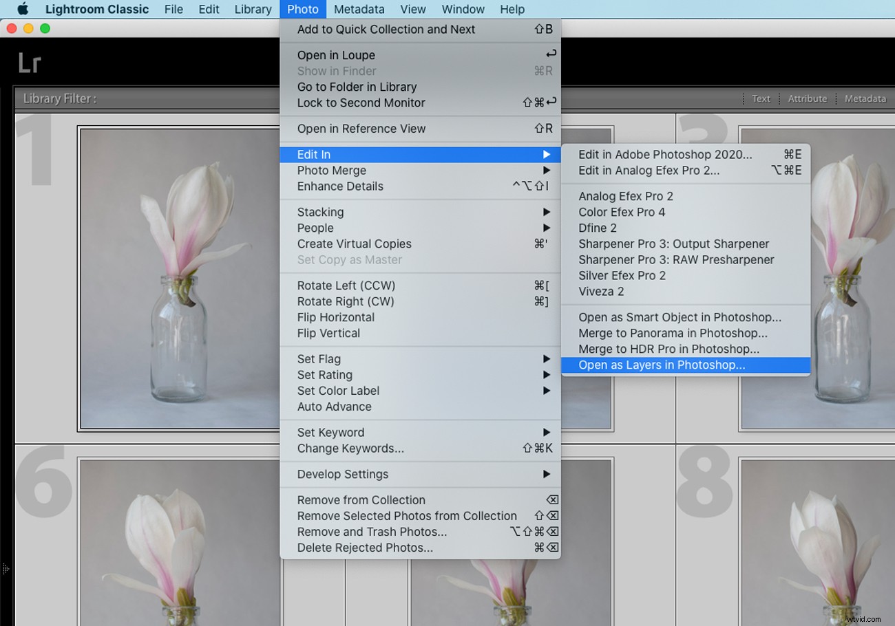 Create Stunning Pep Ventosa-Inspired Still Life Photography: Step-by-Step Guide