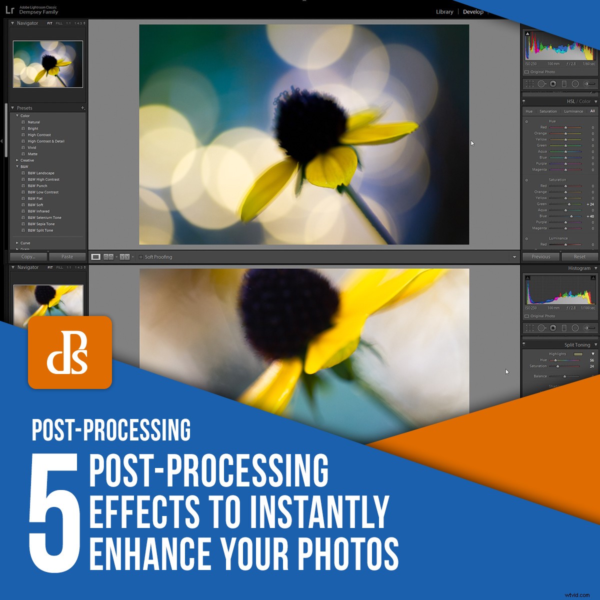 5 Essential Post-Processing Effects to Instantly Elevate Your Photos