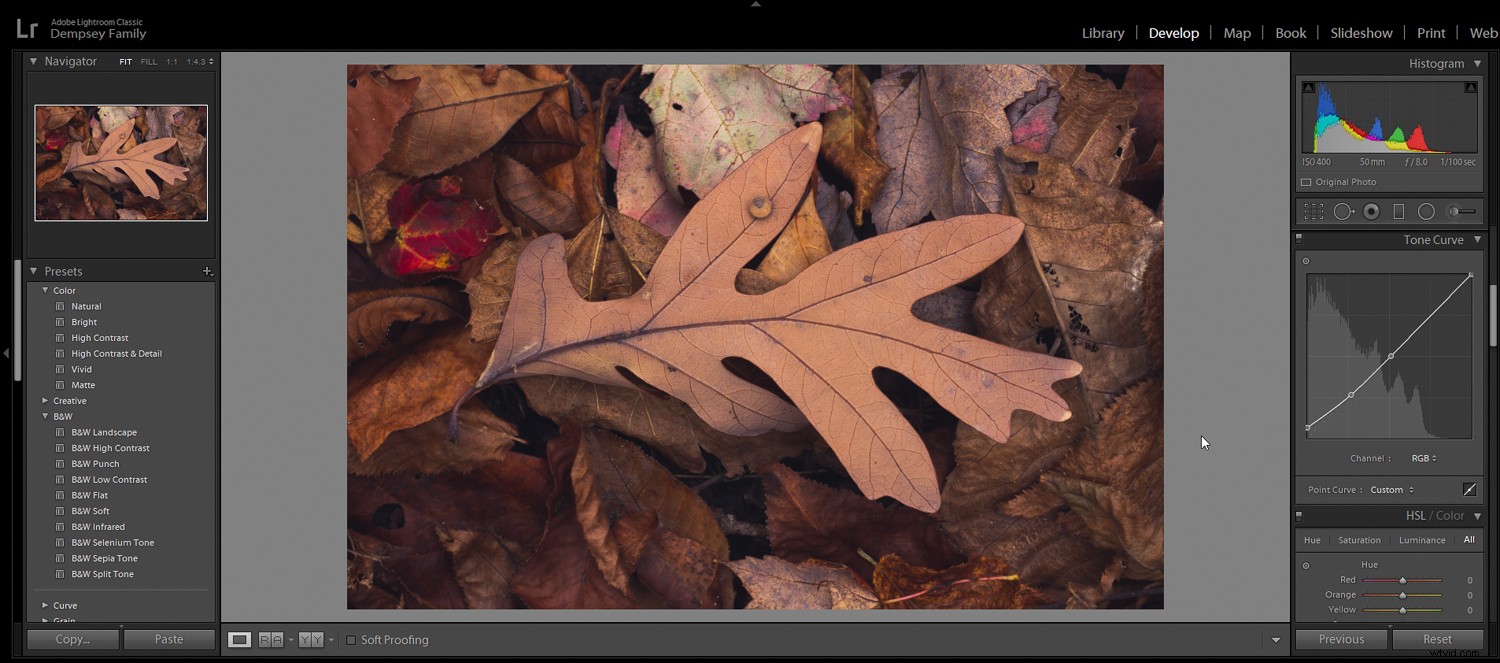 5 Essential Post-Processing Effects to Instantly Elevate Your Photos