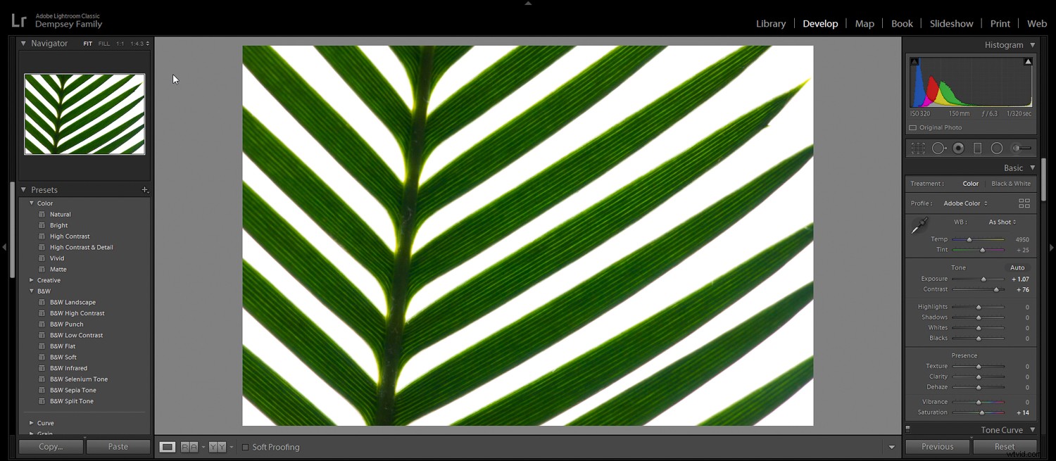 5 Essential Post-Processing Effects to Instantly Elevate Your Photos