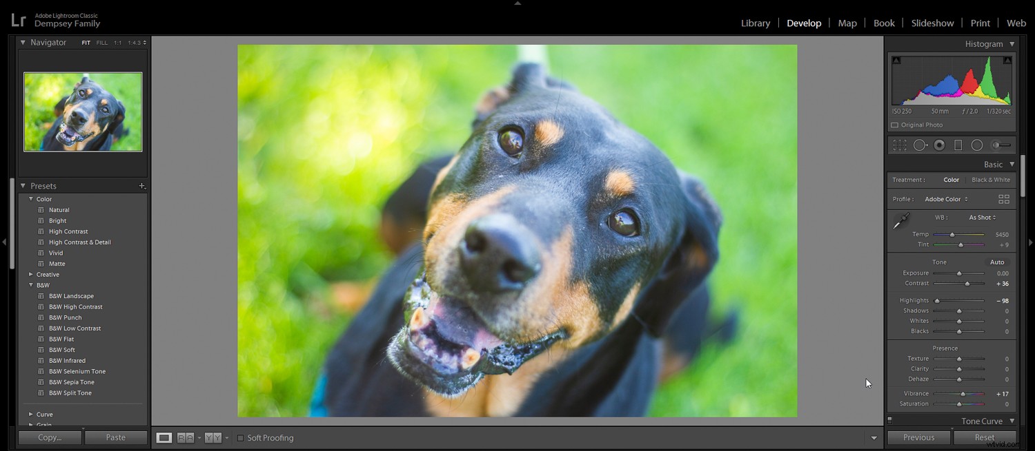 5 Essential Post-Processing Effects to Instantly Elevate Your Photos