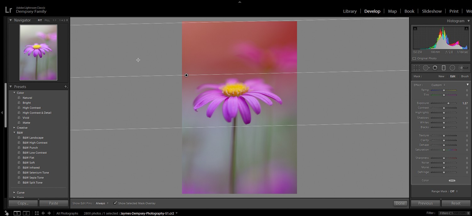 5 Essential Post-Processing Effects to Instantly Elevate Your Photos