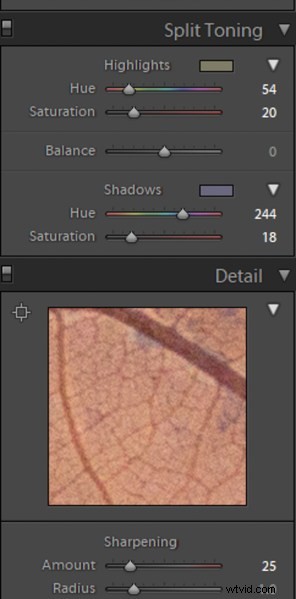 5 Essential Post-Processing Effects to Instantly Elevate Your Photos
