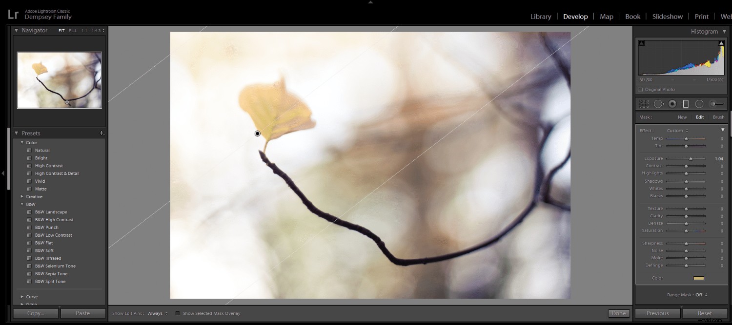 5 Essential Post-Processing Effects to Instantly Elevate Your Photos