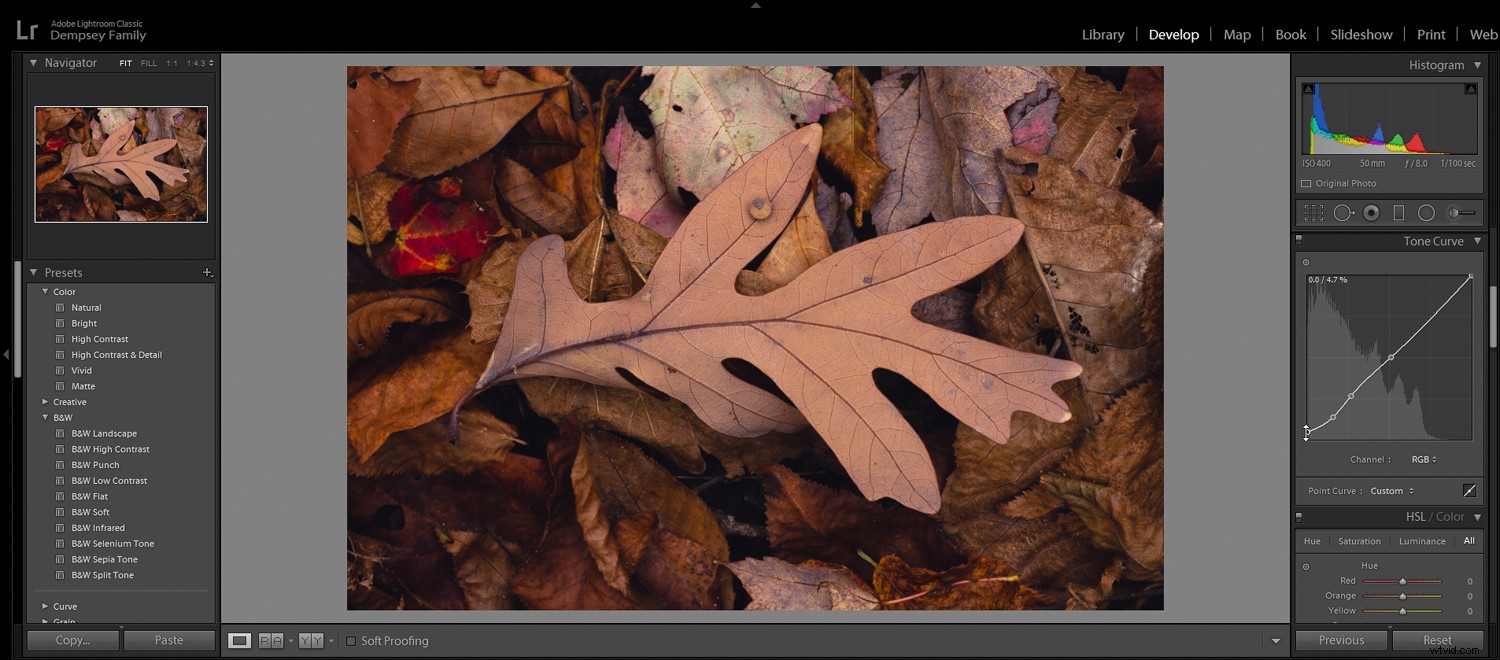 5 Essential Post-Processing Effects to Instantly Elevate Your Photos