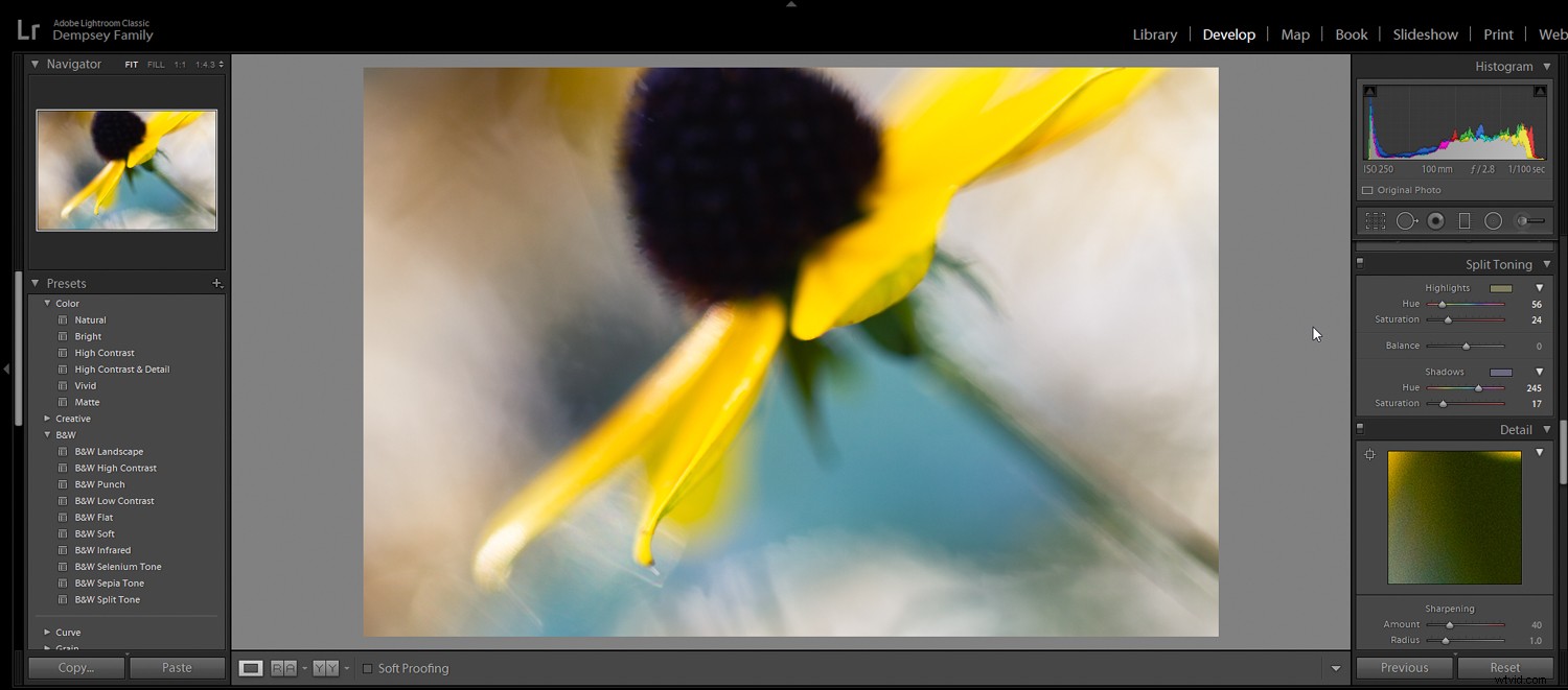 5 Essential Post-Processing Effects to Instantly Elevate Your Photos