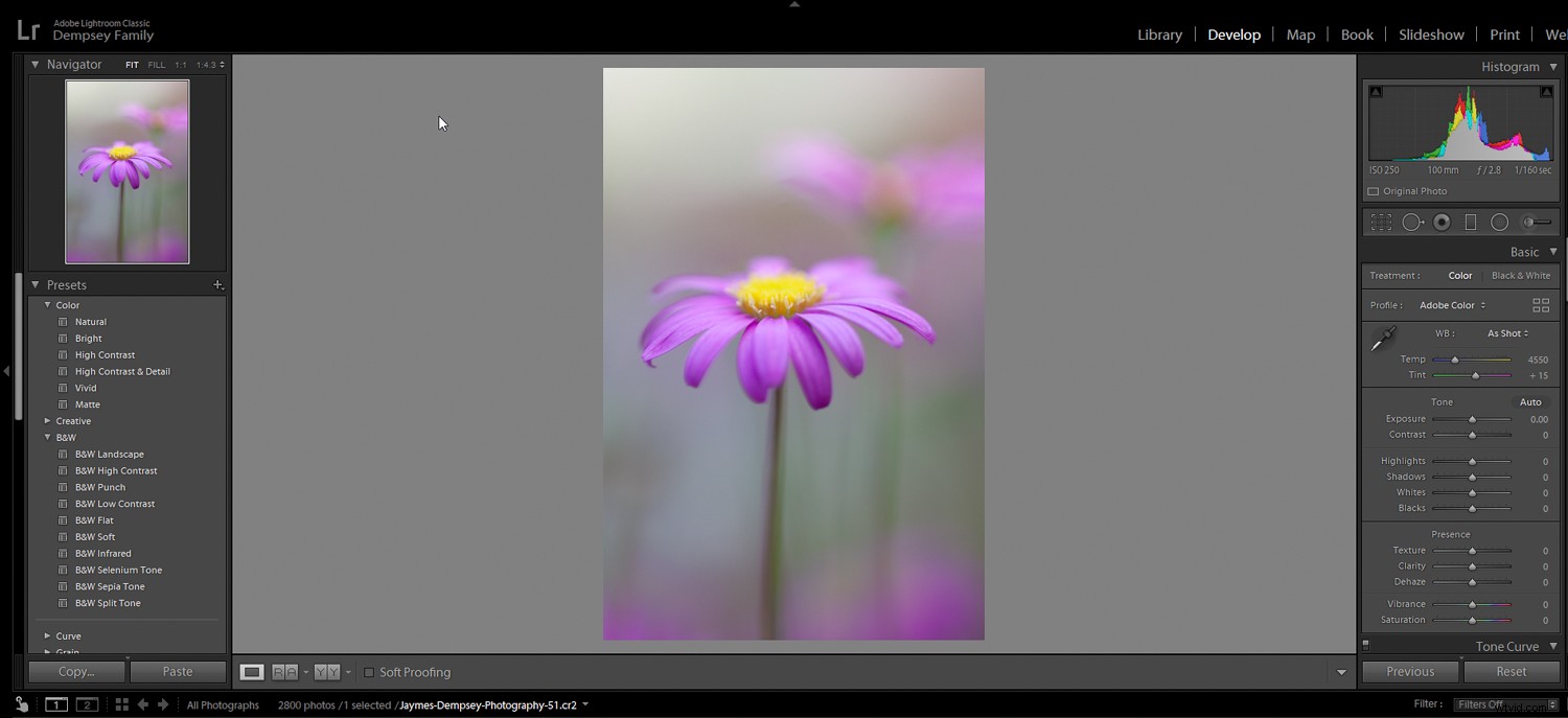 5 Essential Post-Processing Effects to Instantly Elevate Your Photos