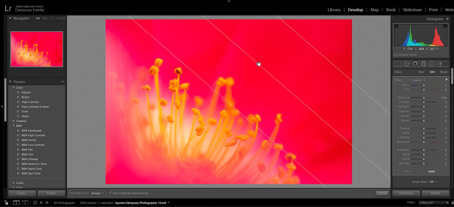 5 Essential Post-Processing Effects to Instantly Elevate Your Photos