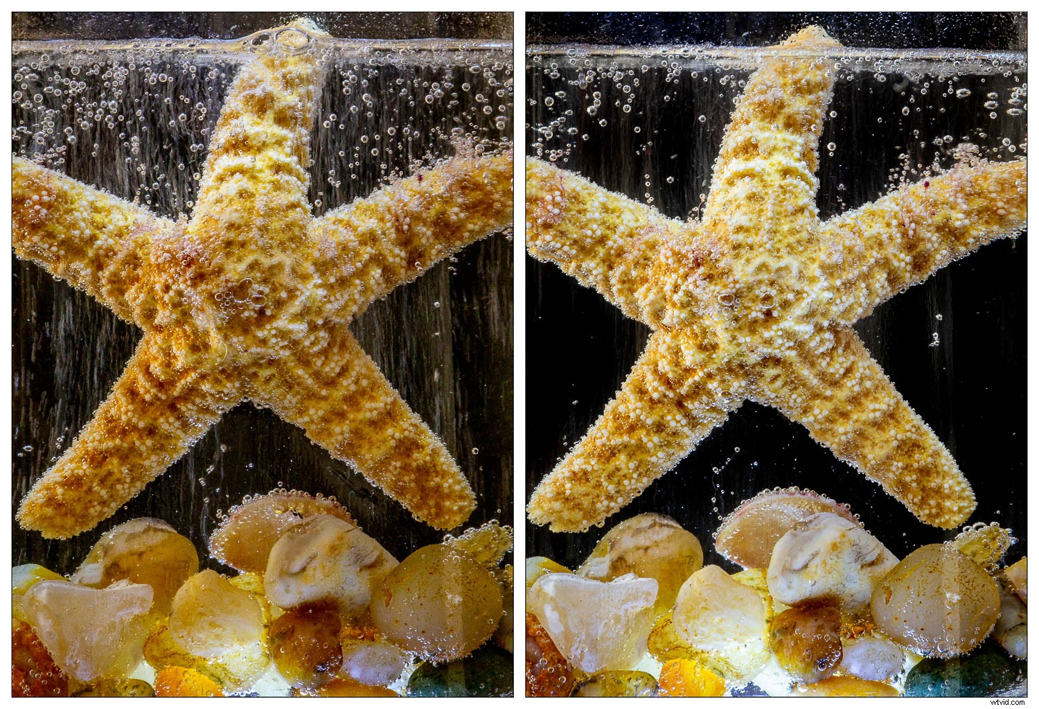 Master Sparkling Water Still Life Photography: Add Fizz and Sparkle to Your Shots