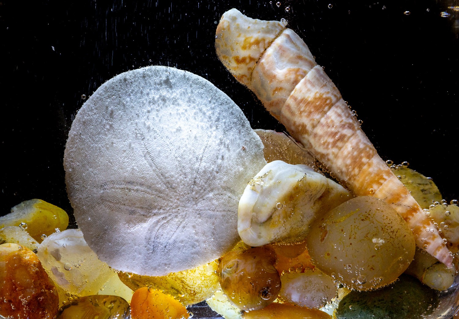 Master Sparkling Water Still Life Photography: Add Fizz and Sparkle to Your Shots