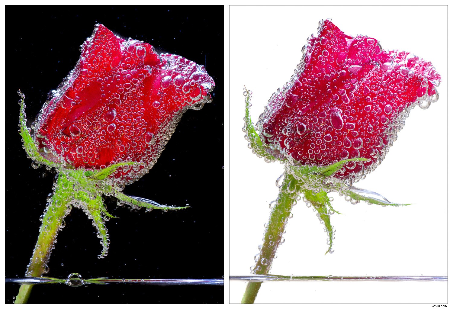 Master Sparkling Water Still Life Photography: Add Fizz and Sparkle to Your Shots