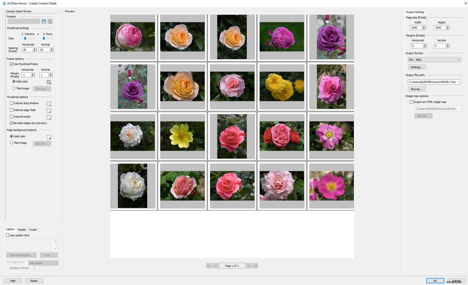 Effortlessly Organize Your Photos with ACDSee DAM Software