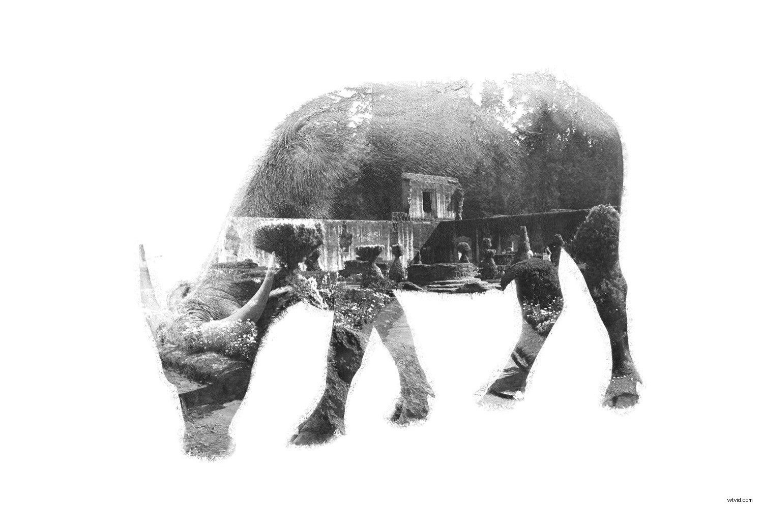 dPS At-Home 7-Day Photography Challenge: Week 4 – Sharpen Skills from Home