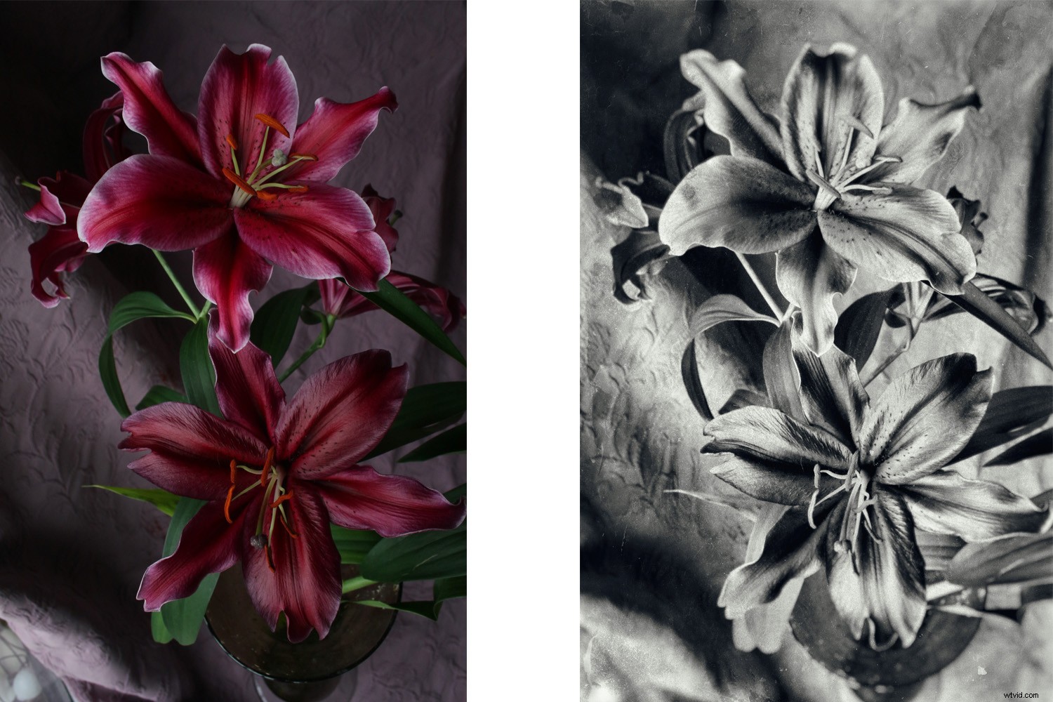 Sharpen Your Photography Skills at Home: Essential Tips for Isolation