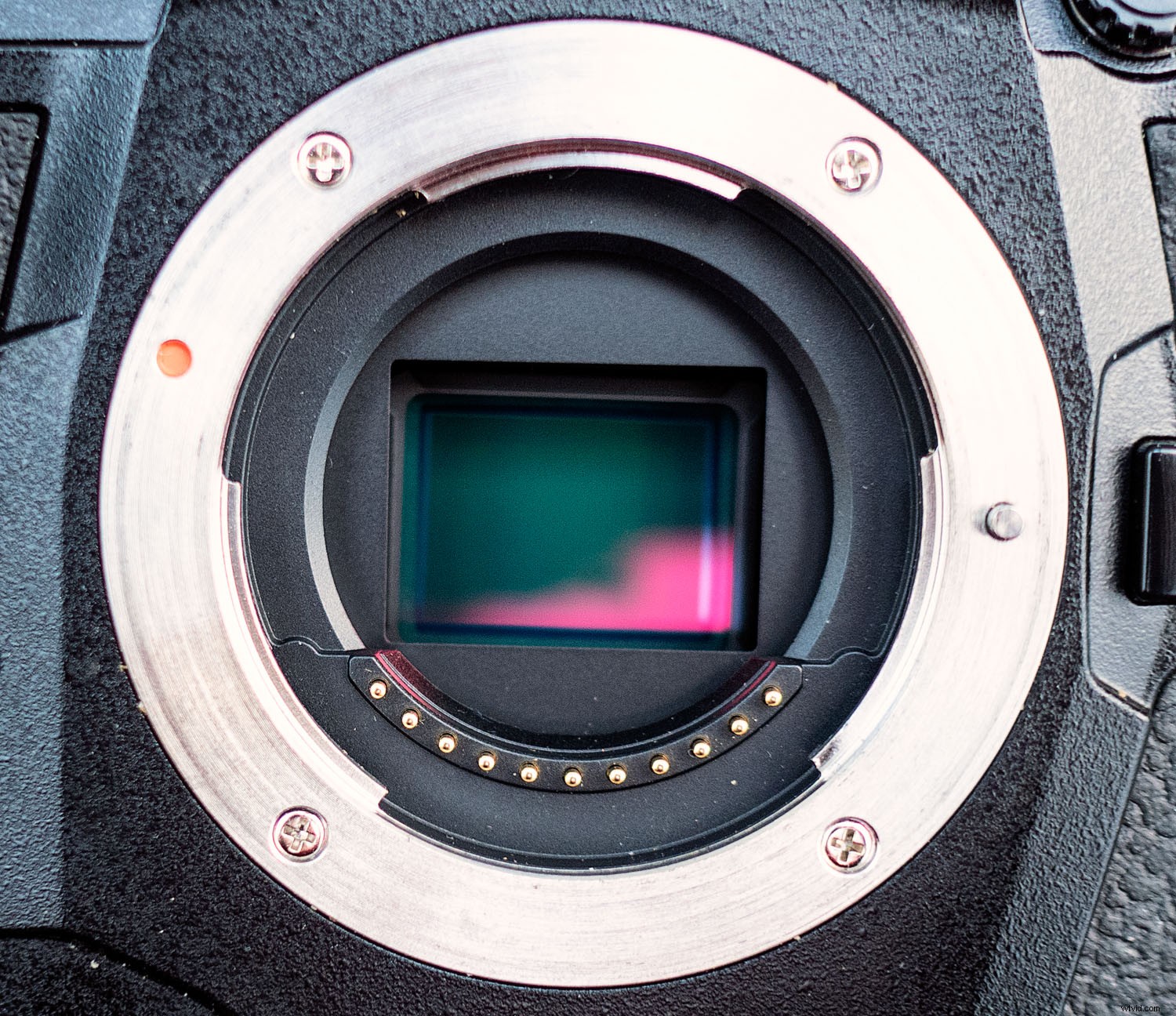 Expert Guide: Resize Photos Perfectly for Stunning Large Prints