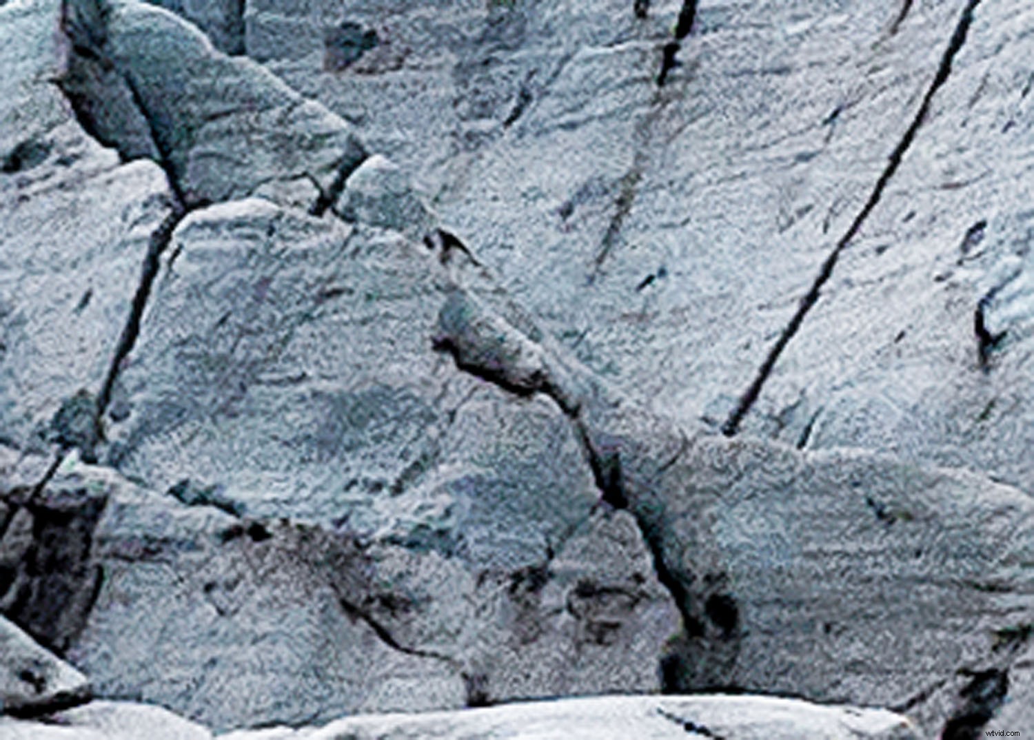 Expert Guide: Resize Photos Perfectly for Stunning Large Prints