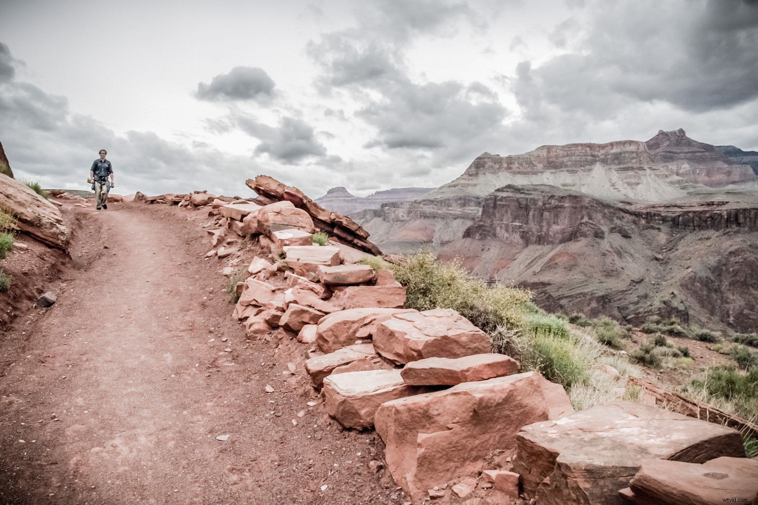 Discover Your Photographer Personality: Artist or Explorer?