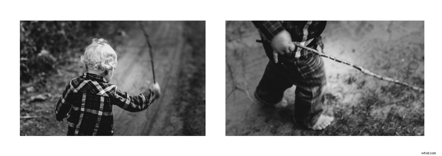 Discover Your Photographer Personality: Artist or Explorer?