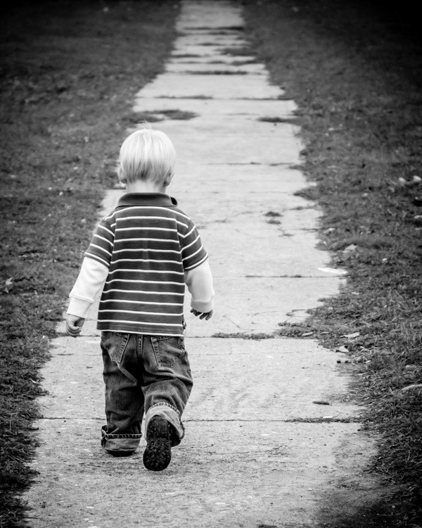 Discover Your Photographer Personality: Artist or Explorer?