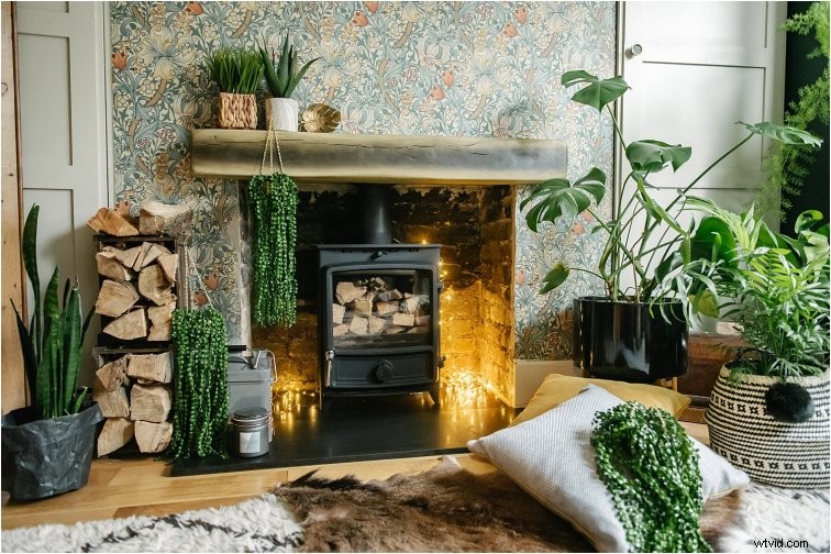 Weekly Photography Challenge: Capture the Essence of Green