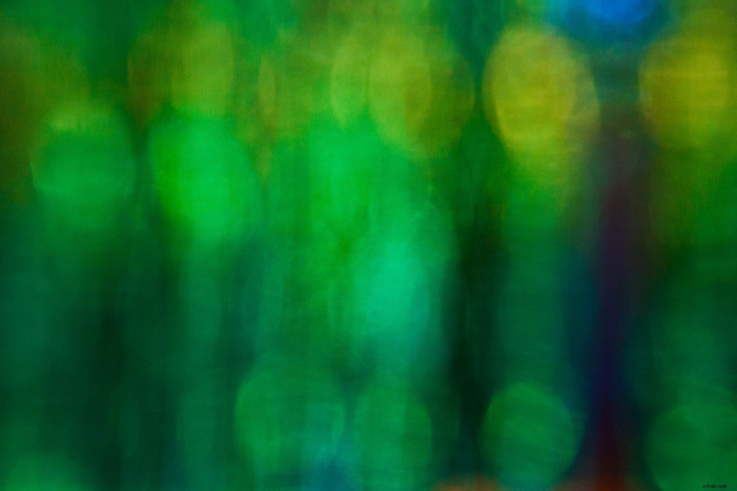 Weekly Photography Challenge: Capture the Essence of Green