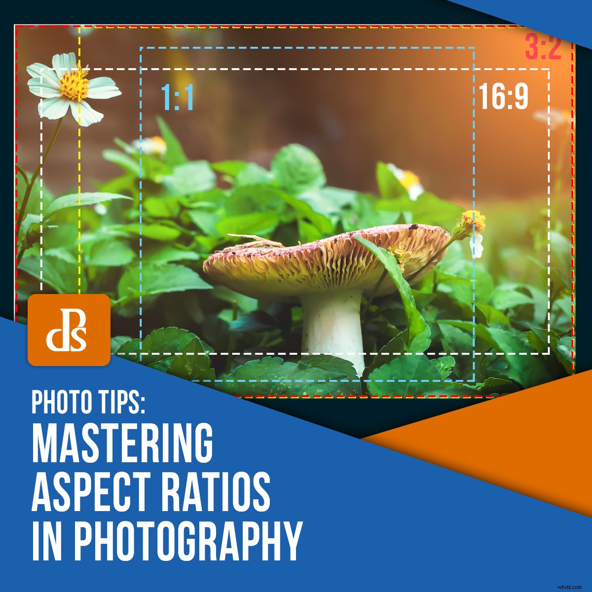 Mastering Aspect Ratios in Photography: Essential Guide for Stunning Compositions