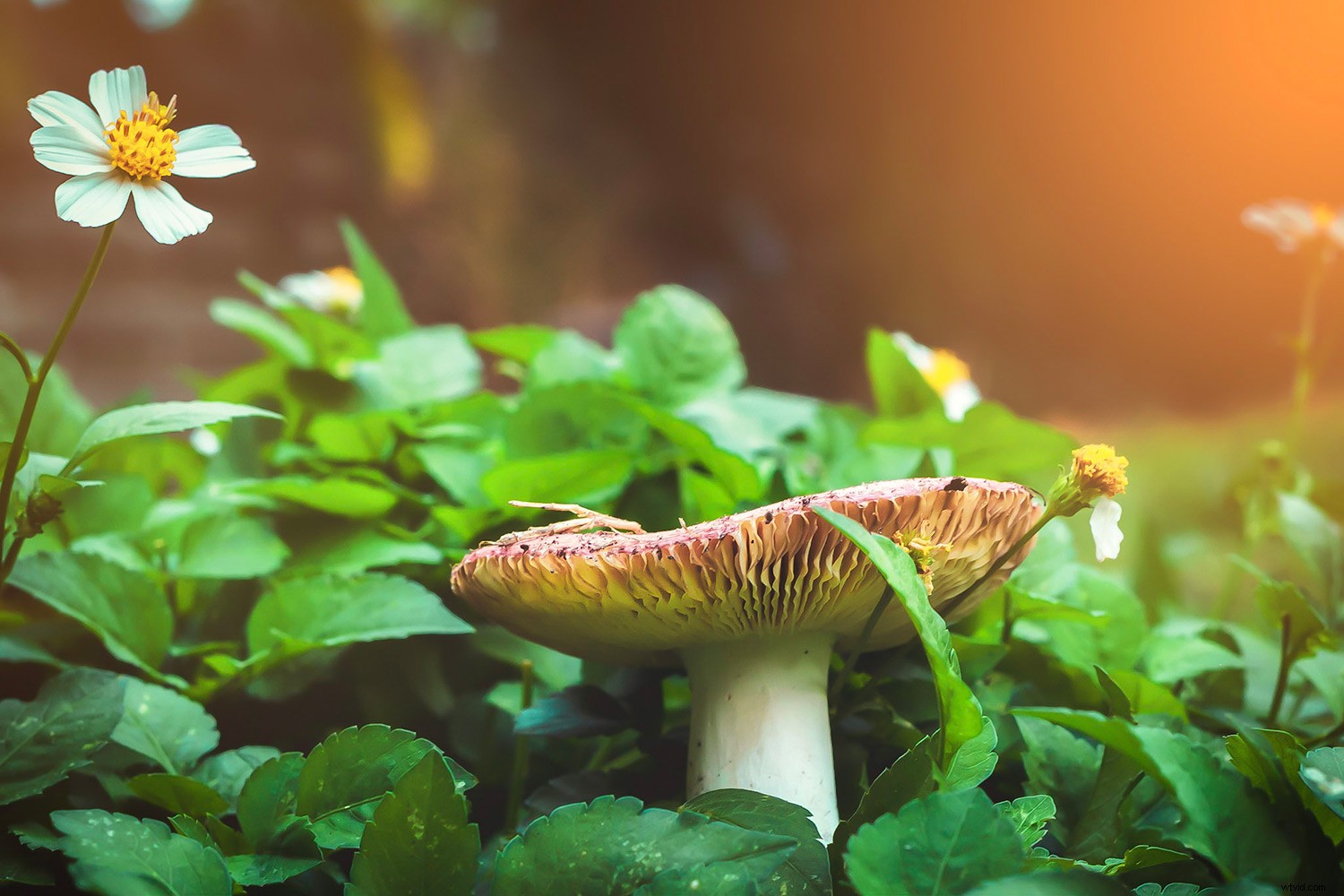 Mastering Aspect Ratios in Photography: Essential Guide for Stunning Compositions